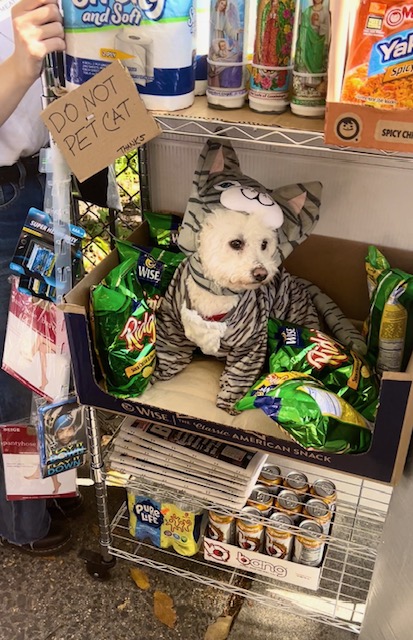 HALLOWEEN DOG PARADE